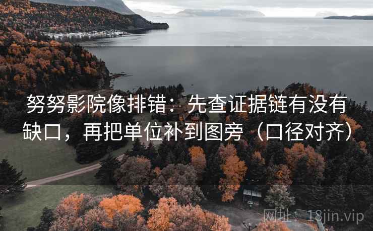 努努影院像排错：先查证据链有没有缺口，再把单位补到图旁（口径对齐）