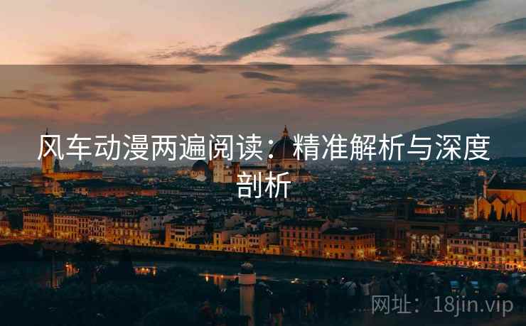 风车动漫两遍阅读：精准解析与深度剖析